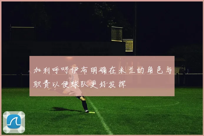 加利呼吁伊布明确在米兰的角色与职责以便球队更好发挥