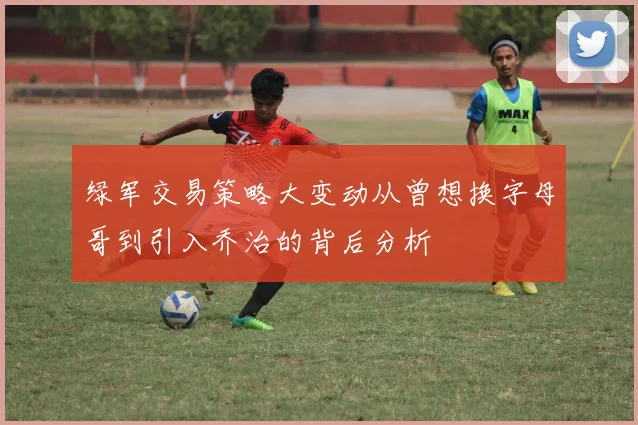 绿军交易策略大变动从曾想换字母哥到引入乔治的背后分析